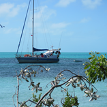 -92944845557F7BD1D -92944845557F7BD1D