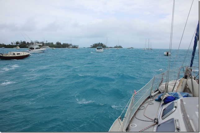 It's windy in Mangrove Bay